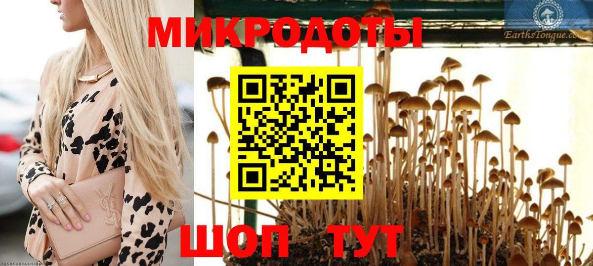 Иваново  Псилоцибиновые грибы мицелий  Вход с VPN  Галлюциногенные грибы Cubensis 