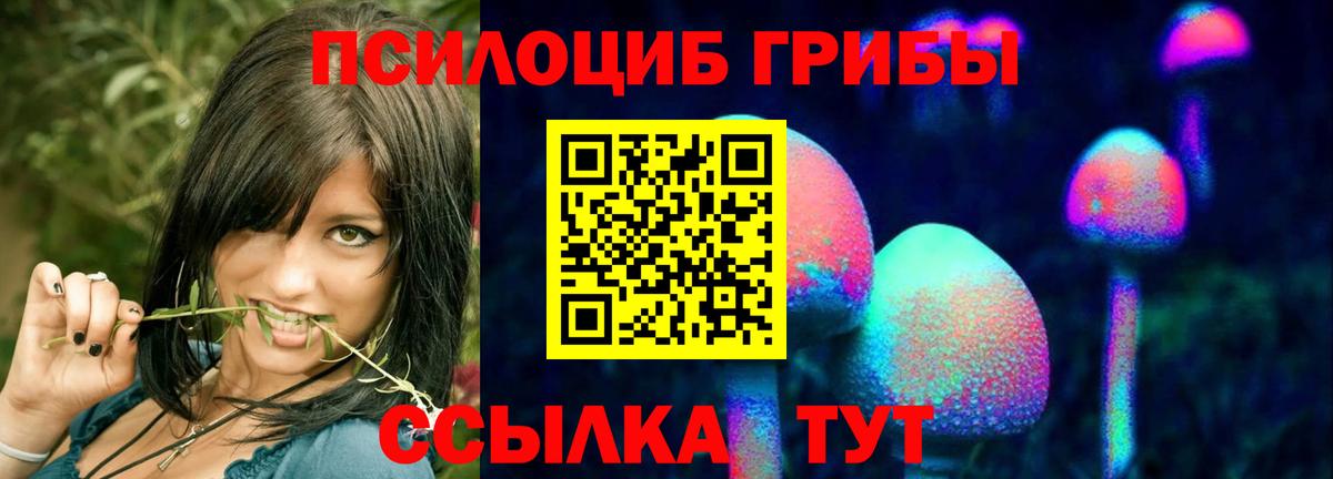 Псилоцибиновые грибы Psilocybe Иваново